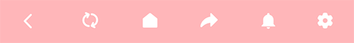 Footer Style D